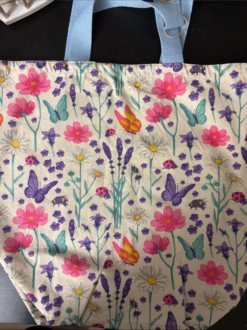 Floral Butterfly Canvas Tote Bag in Cream and Pink